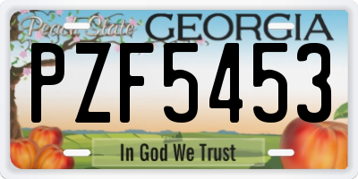 GA license plate PZF5453