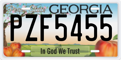 GA license plate PZF5455