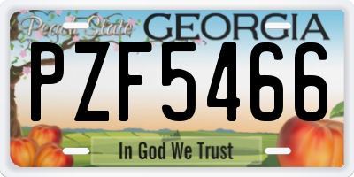 GA license plate PZF5466