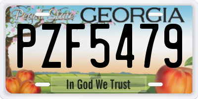 GA license plate PZF5479