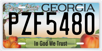 GA license plate PZF5480