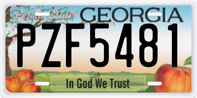 GA license plate PZF5481