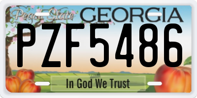 GA license plate PZF5486