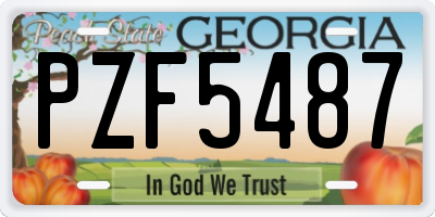 GA license plate PZF5487