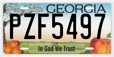 GA license plate PZF5497