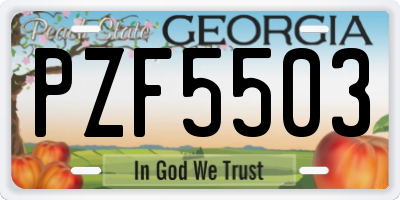 GA license plate PZF5503