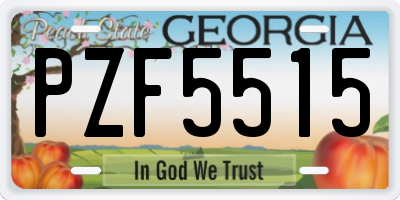 GA license plate PZF5515