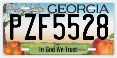 GA license plate PZF5528