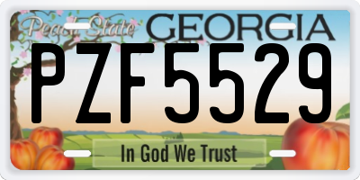 GA license plate PZF5529