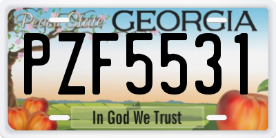 GA license plate PZF5531