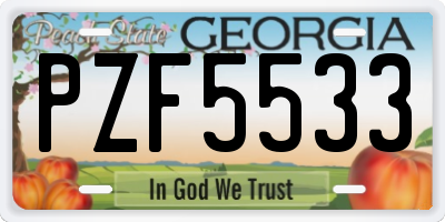 GA license plate PZF5533