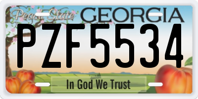 GA license plate PZF5534