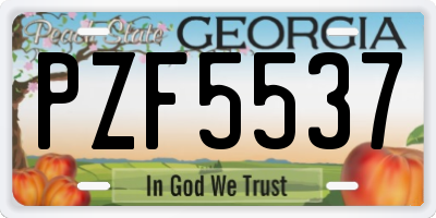 GA license plate PZF5537