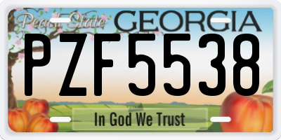 GA license plate PZF5538