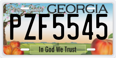 GA license plate PZF5545