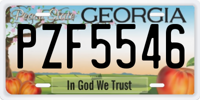 GA license plate PZF5546