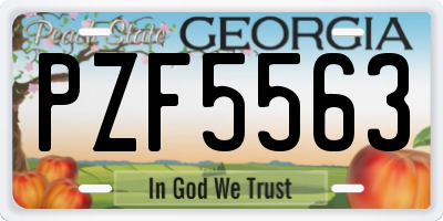 GA license plate PZF5563