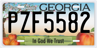 GA license plate PZF5582