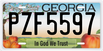 GA license plate PZF5597