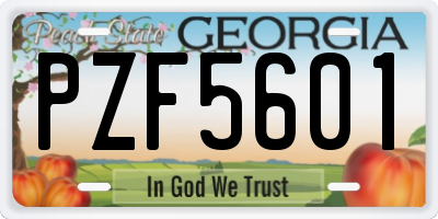 GA license plate PZF5601