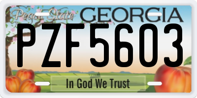 GA license plate PZF5603