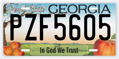 GA license plate PZF5605