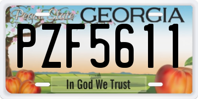 GA license plate PZF5611