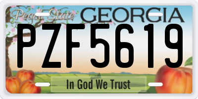 GA license plate PZF5619