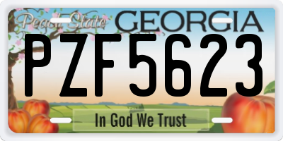 GA license plate PZF5623