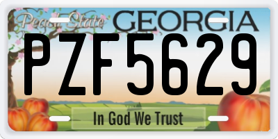 GA license plate PZF5629