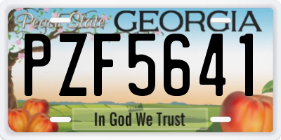 GA license plate PZF5641
