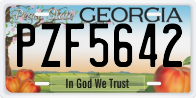 GA license plate PZF5642