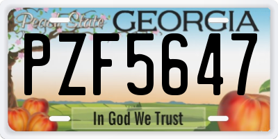 GA license plate PZF5647