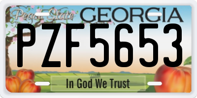 GA license plate PZF5653