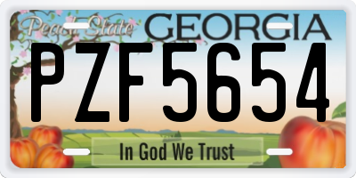 GA license plate PZF5654