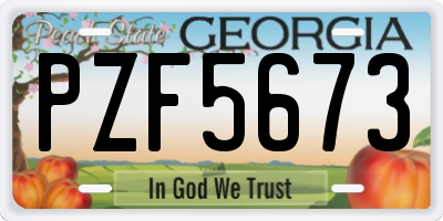 GA license plate PZF5673