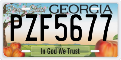 GA license plate PZF5677