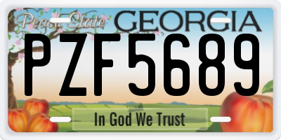 GA license plate PZF5689