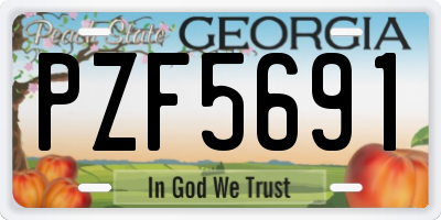 GA license plate PZF5691