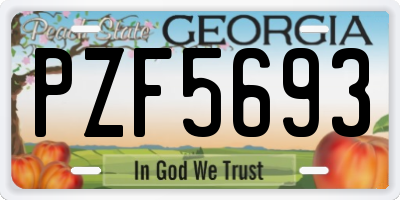 GA license plate PZF5693