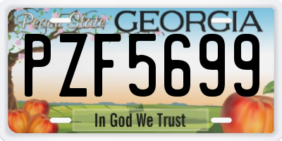 GA license plate PZF5699