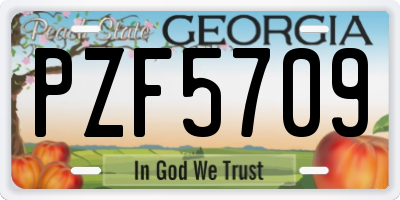 GA license plate PZF5709