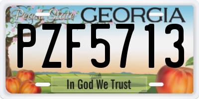 GA license plate PZF5713