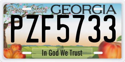 GA license plate PZF5733