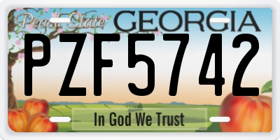 GA license plate PZF5742