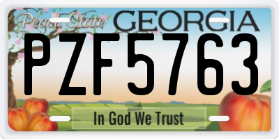 GA license plate PZF5763