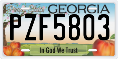 GA license plate PZF5803