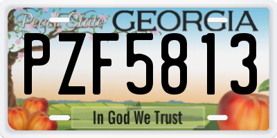 GA license plate PZF5813