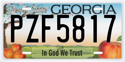 GA license plate PZF5817