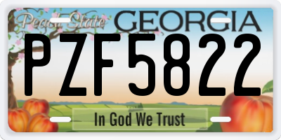 GA license plate PZF5822